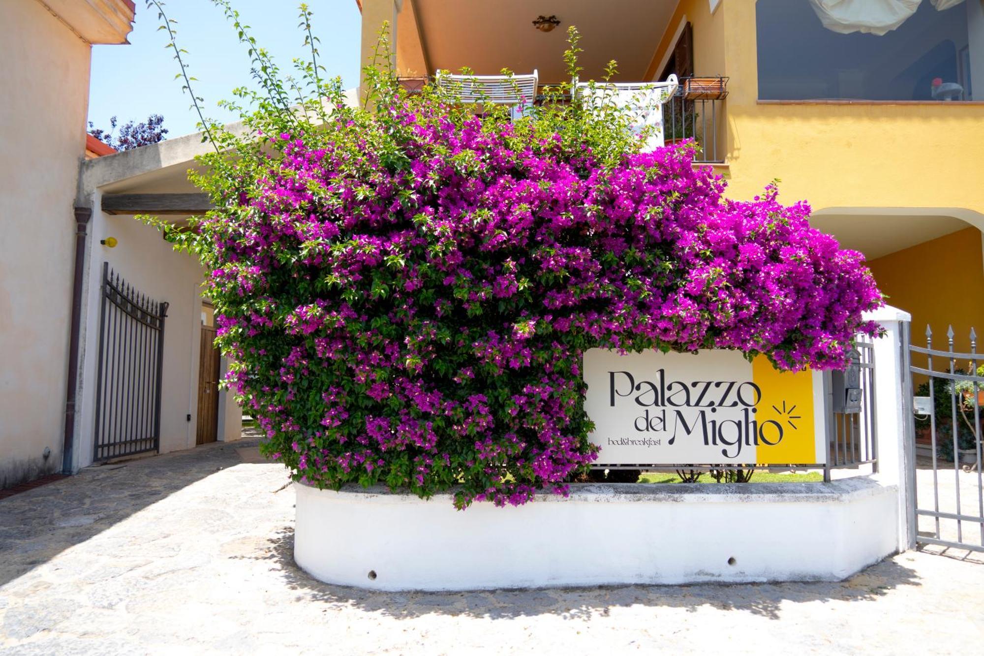 Palazzo Del Miglio Bed & Breakfast Belvedere Marittimo Bagian luar foto